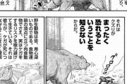クズリとかいう世界で最も凶暴な動物