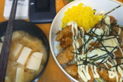 唐揚げ丼でけたーｗｗ（※画像あり）