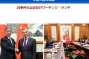 【速報】岩屋外相、大盤振る舞い「中国人専用の10年間有効な観光ビザ新設、団体旅行ビザを2倍30日に延長、65歳以上に限り在職証明書不要、取得後3カ月以内ルール撤廃」