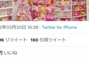 【画像】Twitterのカービィ好き、ヤバい部屋を晒してしまう??ｗｗｗｗｗ