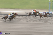 【土曜新潟2R新馬戦】ミカミッチー＆横山典弘騎手がｷﾀ━━━━(ﾟ∀ﾟ)━━━━!!