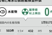 4.4万回検査して基準値超過ゼロ件…「フクシマ怪談(デマ)」に1.5兆ウォン超の無駄金を投じた韓国政府　汚染処理水放出から1年