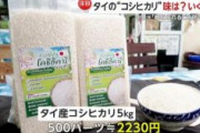 【コメ】毎月収穫可能！タイ産「コシヒカリ」日本市場に　5キロ約2230円で割安　…小泉農水相「外国産米に店頭の棚とられるの防ぎたい」