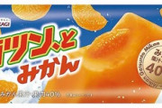 【朗報】アイス､爆売れ