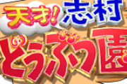 志村どうぶつ園、相葉が継いでそのまま継続決定ｗｗｗｗｗｗｗｗｗｗ