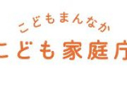 【悲報】子ども家庭庁、来年4月から「独身税」を開始　独身や子どもがいない人は医療保険料に加算して強制徴収、何も支援なく取られるだけの税金