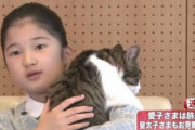 【悲報】愛子さま、飼っていた「人間」がお亡くなりになっていたことが判明