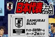 【カタールW杯】日本人サポーターさん、ゴミ拾いして現地でもFIFAからも称賛される