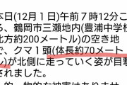 【速報】北日本を中心に超巨大なクマ目撃されるｗｗｗｗｗｗｗｗｗｗｗｗ