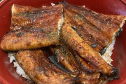【画像】ワイうなぎを食すwww→牛丼屋よりはるかに美味い！
