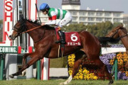【競馬予想】[2]第73回東京新聞杯(GIII) /2023