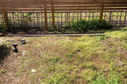 【画像あり】ワイドカタ、庭に畑作ったったｗｗｗｗｗｗｗｗｗｗｗｗｗｗｗｗｗｗｗｗ