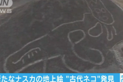 【画像】「古代ネコ」か？新たなナスカの地上絵発見ｗｗｗｗｗｗｗｗｗｗｗｗｗｗ