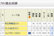 【悲報】ケイティブレイブ長岡さん、掲示板外までぶっ飛んだのにnetkeibaで称賛されてしまう