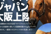 アドマイヤジャパンが大阪、御堂筋に上陸www