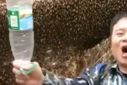 巨大なミツバチのコロニーにペットボトルで挑んだ男、めちゃくちゃ刺されてしまう。