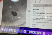 【悲報】メルカリに出品された「銃撃現場の石」、ヤフーニュースになってしまうｗｗｗｗ