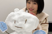 なぎちゃんお手製の芸術的な雪だるまをご覧ください