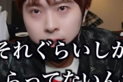中堅ユーチューバーさん「議員さんの年収(約2100万円)がツイッターで回ってくるけど、それぐらいしか貰ってないんだって思いました」