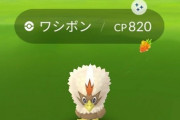 【ポケモンGO】ワシボンレイド発生率3% 色違い率1/450 猫気球発生率10~20％ ←これマジか？