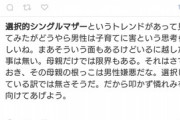 【悲報】選択的シングルマザーさん、ネットから「気持ち悪い」の大合唱で大炎上