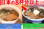 アメリカのきつねうどん３４００円