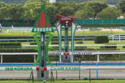 【2歳新馬】オルフェ2歳世代最終兵器グレインワーク(半兄アリーヴォ)始動！結果は･･･