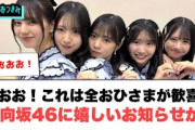 うおおお！これは全おひさまが歓喜！日向坂46に朗報が！[日向坂46]