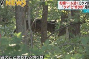 【自然】ヒグマ対策、「出会わないようにがんばる」しかない
