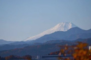 【画像】いい天気だから天覧山に登った