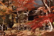 海外「美しい！」世界遺産、平泉中尊寺の紅葉の中を散策する映像に海外が興味津々！　海外の反応