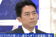 小泉進次郎、年収の壁議論で「まるで自民党が考えてることは常に国民負担で軽減に抵抗していると見えてしまうことは残念」