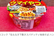 エースコックさん、社運を賭けてハンバーグ弁当の下に敷いてあるパスタを焼きそばで完全再現して新発売