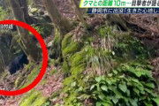 【静岡】「クマァー!」　渓流釣りの男性、クマと遭遇