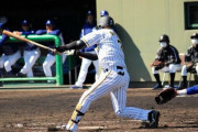 阪神・大山は教育リーグで先制打　１軍と同時進行でアピール