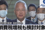 政府「ごっめーん☆少子化対策するのにお金足りないから消費税増税するねっ！」←あのさぁ…