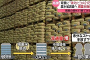 【速報】備蓄米放出で転売業者が焦っている模様、手当たり次第に営業電話「お米ありました、買いませんか！？」「コメの在庫みつかりました！」