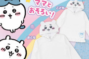 【悲報】ワイ、大好きなちいかわのグッズがなんかキモくて泣いちゃった