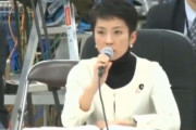 【事業仕分け】蓮舫さん、９年前に二子玉川沿いの堤防を追及する動画が出てきてしまうｗｗｗｗ「この話、早く終わらせましょう」