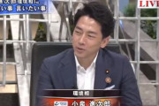 小泉進次郎環境相、レジ袋有料化が環境問題解決にならないことを認めてしまう