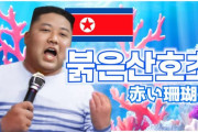 金正恩「赤い珊瑚礁」ｗｗｗｗｗｗｗｗｗｗｗｗｗｗｗｗ