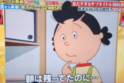【画像】フジテレビ「サザエさん」55周年特番、芸能人のワイプが映り大炎上「画面汚し」