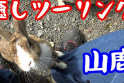 うさぎちゃんと遊べる山鹿の温泉□□□動画撮影スレ□□□