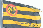 【悲報】阪神、FA獲得静観へｗｗｗｗｗｗｗｗ