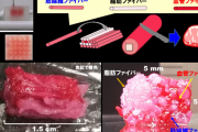 【衝撃】ステーキ肉は印刷する時代へ！ 大阪大学が和牛のサシまで3D印刷を可能にする