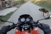 犬に追われて猫にやられてしまったホンダCBF125乗りの車載ビデオ。