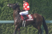 【競馬】武豊さん、ベルカントを捨ててドン詰まりしたレッドアリオンでスプリンターズSへ