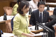 【国会動画】立憲民主党議員さん「なぜ日本は難民認定が先進国と比べ少ないのか理論的に」法相「それはね…」→大論破でサヨク絶叫ｗ
