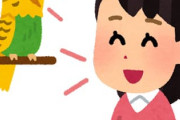 インコってなんで喋るの？