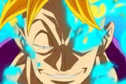 「ワンピース」のマルコとかいう戦績微妙なのに強キャラ扱いの奴